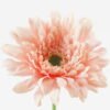 Artificial Flower 14*14*60cm Mum single stem GS-71523012-P1 Single Flowers YeahFlower is one of Chinese leading OEM manufacturers and exporters , supplying the silk flowers, wholesale artificial trees