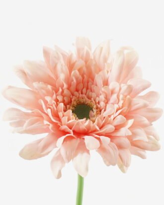 Artificial Flower 14*14*60cm Mum single stem GS-71523012-P1 Single Flowers YeahFlower is one of Chinese leading OEM manufacturers and exporters , supplying the silk flowers, wholesale artificial trees