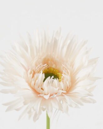 Artificial Flower 11*11*44cm Mum single stem GS-71523015 Single Flowers YeahFlower is one of Chinese leading OEM manufacturers and exporters , supplying the silk flowers, wholesale artificial trees