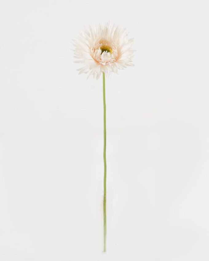 Artificial Flower 11*11*44cm Mum single stem GS-71523015 Single Flowers YeahFlower is one of Chinese leading OEM manufacturers and exporters , supplying the silk flowers, wholesale artificial trees