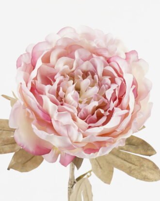 Artificial Flower 14*14*46cm Peony single stem GS-72023007-Z1 Single Flowers YeahFlower is one of Chinese leading OEM manufacturers and exporters , supplying the silk flowers, wholesale artificial trees
