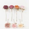 Artificial Flower 14*14*46cm Peony single stem GS-72023007 Single Flowers YeahFlower is one of Chinese leading OEM manufacturers and exporters , supplying the silk flowers, wholesale artificial trees
