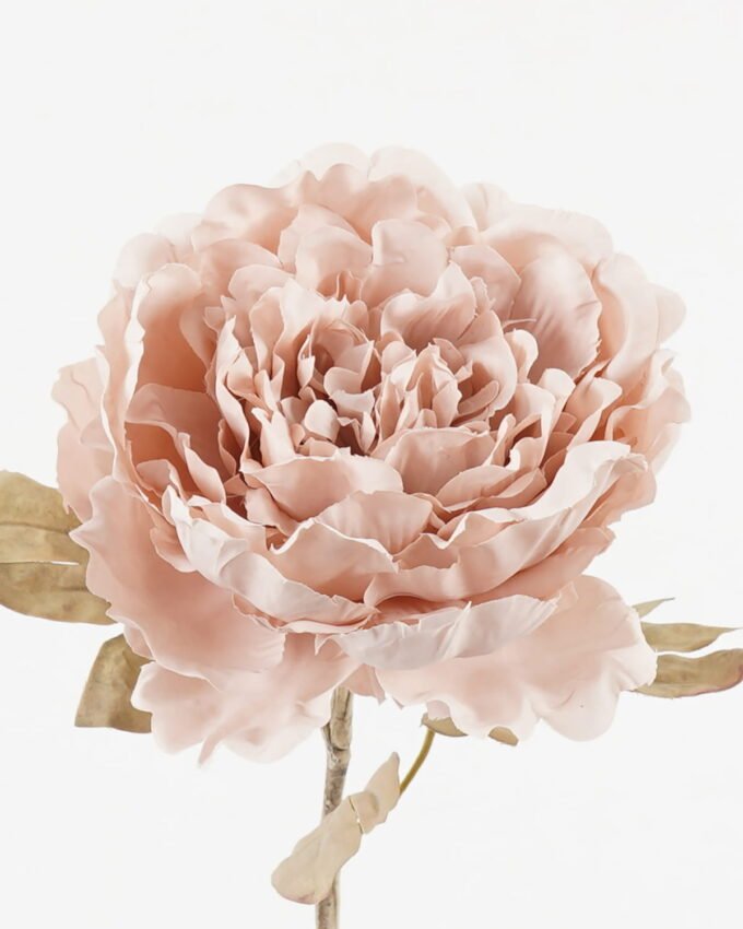 Artificial Flower 14*14*46cm Peony single stem GS-72023007 Single Flowers YeahFlower is one of Chinese leading OEM manufacturers and exporters , supplying the silk flowers, wholesale artificial trees