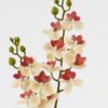 Artificial Flower 15*62cm Phalaenopsis *12 single stem GS-64923020-C1 Single Flowers YeahFlower is one of Chinese leading OEM manufacturers and exporters , supplying the silk flowers, wholesale artificial trees