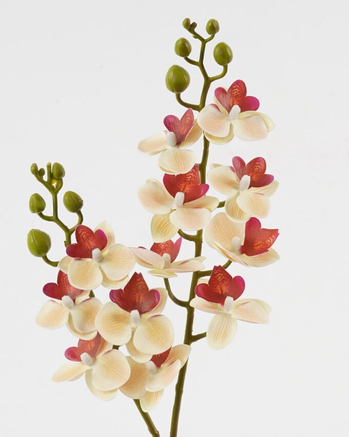 Artificial Flower 15*62cm Phalaenopsis *12 single stem GS-64923020-C1 Single Flowers YeahFlower is one of Chinese leading OEM manufacturers and exporters , supplying the silk flowers, wholesale artificial trees