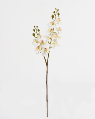 Artificial Flower 15*62cm Phalaenopsis *12 single stem GS-64923020-W2 Single Flowers YeahFlower is one of Chinese leading OEM manufacturers and exporters , supplying the silk flowers, wholesale artificial trees