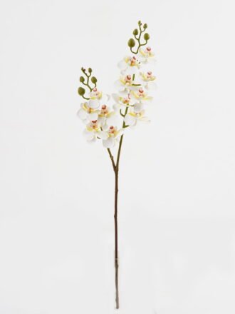 Artificial Flower 15*62cm Phalaenopsis *12 single stem GS-64923020-C1 Single Flowers 3,000+ sqm showroom with thousands of artificial flowers, plants & trees ready for global sourcing.