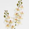 Artificial Flower 15*62cm Phalaenopsis *12 single stem GS-64923020-W2 Single Flowers YeahFlower is one of Chinese leading OEM manufacturers and exporters , supplying the silk flowers, wholesale artificial trees