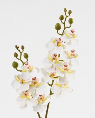Artificial Flower 15*62cm Phalaenopsis *12 single stem GS-64923020-W2 Single Flowers YeahFlower is one of Chinese leading OEM manufacturers and exporters , supplying the silk flowers, wholesale artificial trees