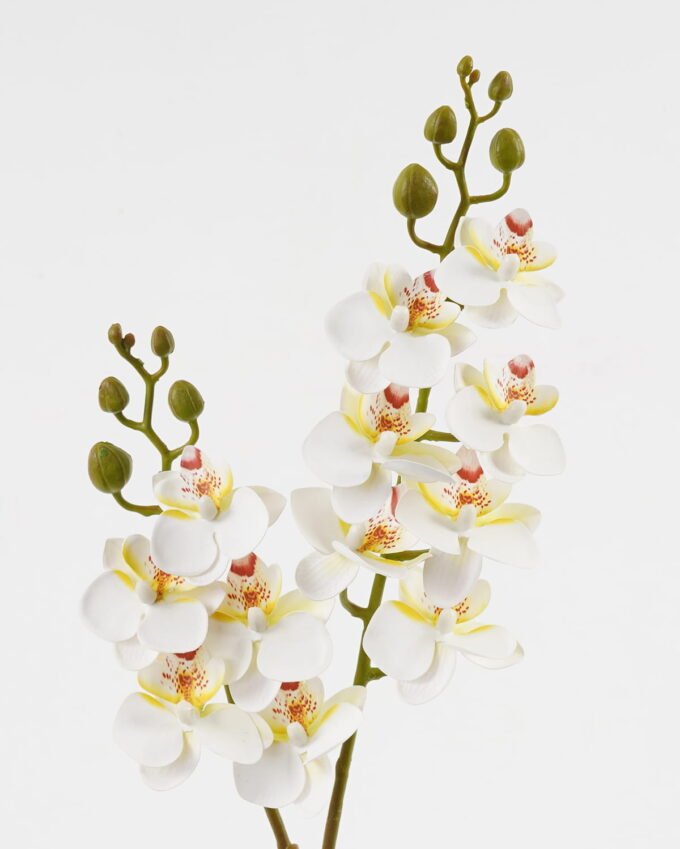 Artificial Flower 15*62cm Phalaenopsis *12 single stem GS-64923020-W2 Single Flowers YeahFlower is one of Chinese leading OEM manufacturers and exporters , supplying the silk flowers, wholesale artificial trees
