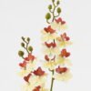 Artificial Flower 15*62cm Phalaenopsis *12 single stem GS-64923020-Y1 Single Flowers YeahFlower is one of Chinese leading OEM manufacturers and exporters , supplying the silk flowers, wholesale artificial trees