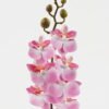 Artificial Flower 9*62cm Phalaenopsis *7 single stem GS-64923019-P2 Single Flowers YeahFlower is one of Chinese leading OEM manufacturers and exporters , supplying the silk flowers, wholesale artificial trees