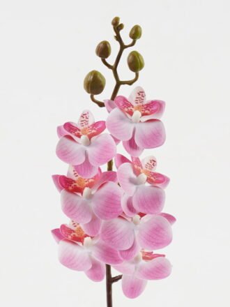 Artificial Flower 9*62cm Phalaenopsis *7 single stem GS-64923019 Single Flowers 3,000+ sqm showroom with thousands of artificial flowers, plants & trees ready for global sourcing.