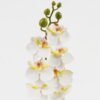Artificial Flower 9*62cm Phalaenopsis *7 single stem GS-64923019-W2 Single Flowers YeahFlower is one of Chinese leading OEM manufacturers and exporters , supplying the silk flowers, wholesale artificial trees