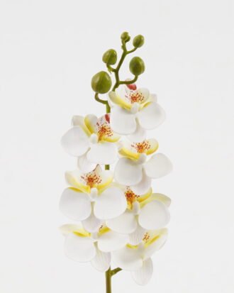 Artificial Flower 9*62cm Phalaenopsis *7 single stem GS-64923019-W2 Single Flowers YeahFlower is one of Chinese leading OEM manufacturers and exporters , supplying the silk flowers, wholesale artificial trees