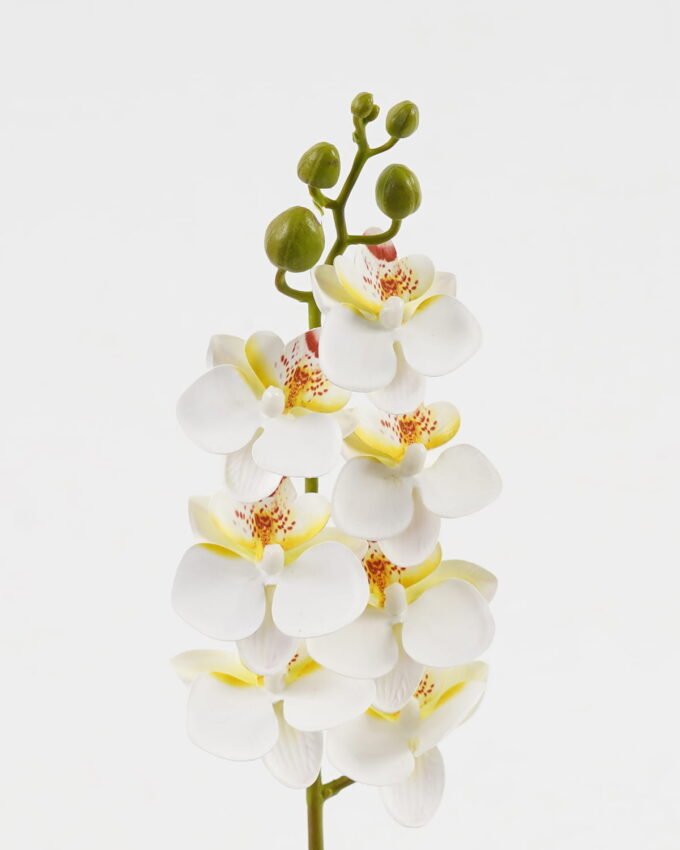 Artificial Flower 9*62cm Phalaenopsis *7 single stem GS-64923019-W2 Single Flowers YeahFlower is one of Chinese leading OEM manufacturers and exporters , supplying the silk flowers, wholesale artificial trees