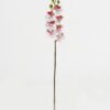 Artificial Flower 9*62cm Phalaenopsis *7 single stem GS-64923019-W3 Single Flowers YeahFlower is one of Chinese leading OEM manufacturers and exporters , supplying the silk flowers, wholesale artificial trees
