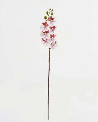 Artificial Flower 9*62cm Phalaenopsis *7 single stem GS-64923019-W3 Single Flowers YeahFlower is one of Chinese leading OEM manufacturers and exporters , supplying the silk flowers, wholesale artificial trees