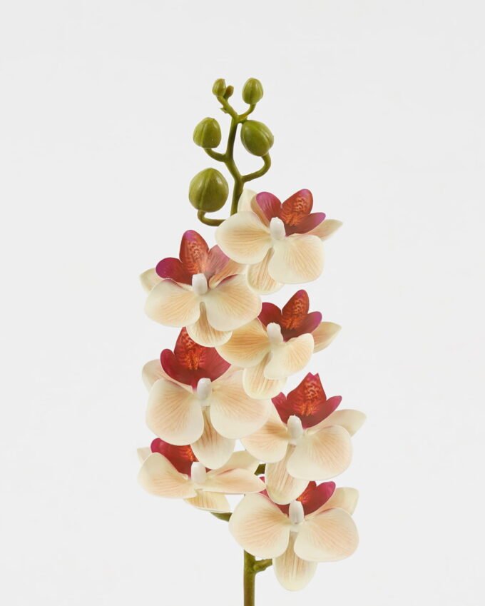 Artificial Flower 9*62cm Phalaenopsis *7 single stem GS-64923019 Single Flowers YeahFlower is one of Chinese leading OEM manufacturers and exporters , supplying the silk flowers, wholesale artificial trees