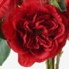 Artificial Flower 28*28*45cm Rose *10 bundle GS-48723005-R1 Bouquet YeahFlower is one of Chinese leading OEM manufacturers and exporters , supplying the silk flowers, wholesale artificial trees