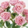 Artificial Flower 25*25*41cm Rose *10 bush GS-71923001 Flowers Bush YeahFlower is one of Chinese leading OEM manufacturers and exporters , supplying the silk flowers, wholesale artificial trees