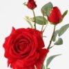 Artificial Flower Rose 3 single stem GS-39623004-R1_1 Artificial Flower 16*16*65cm Rose *3 single stem GS-39623004-R1 Single Flowers YeahFlower is one of Chinese leading OEM manufacturers and exporters , supplying the silk flowers, wholesale artificial trees