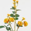 Artificial Flower Rose 3 single stem GS-72523002-Y1_1 Artificial Flower 11*11*36cm Rose *3 single stem GS-72523002-Y1 Single Flowers YeahFlower is one of Chinese leading OEM manufacturers and exporters , supplying the silk flowers, wholesale artificial trees