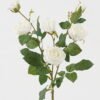Artificial Flower Rose 6 single stem GS-62423001-W1_1 Artificial Flower 23*23*64cm Rose *6 single stem GS-62423001-W1 Single Flowers YeahFlower is one of Chinese leading OEM manufacturers and exporters , supplying the silk flowers, wholesale artificial trees