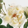 Artificial Flower 18*18*70cm Rose *7 single stem GS-48723006-W1 Single Flowers YeahFlower is one of Chinese leading OEM manufacturers and exporters , supplying the silk flowers, wholesale artificial trees