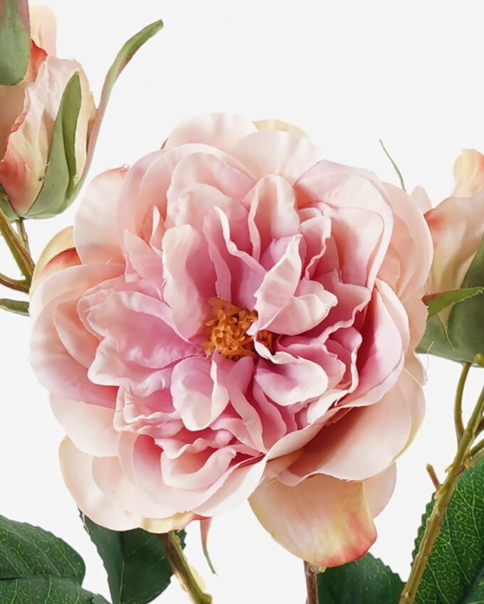 Artificial Flower 18*18*70cm Rose *7 single stem GS-48723006 Single Flowers YeahFlower is one of Chinese leading OEM manufacturers and exporters , supplying the silk flowers, wholesale artificial trees