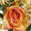 Artificial Flower Rose hydrangea 6 bundle GS-48723001_2 Artificial Flower 27*27*52cm Rose hydrangea *6 bundle GS-48723001 Bouquet YeahFlower is one of Chinese leading OEM manufacturers and exporters , supplying the silk flowers, wholesale artificial trees
