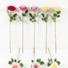 Artificial Flower Rose single stem GS-67923002_2 Artificial Flower 11*11*51cm Rose single stem GS-67923002 Single Flowers YeahFlower is one of Chinese leading OEM manufacturers and exporters , supplying the silk flowers, wholesale artificial trees
