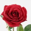 Artificial Flower Rose single stem GS-67923002_3 Artificial Flower 11*11*51cm Rose single stem GS-67923002 Single Flowers YeahFlower is one of Chinese leading OEM manufacturers and exporters , supplying the silk flowers, wholesale artificial trees
