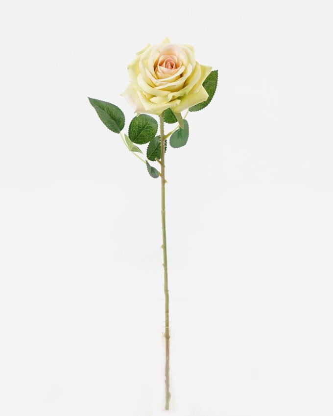 Artificial Flower Rose single stem GS-67923002_5 Artificial Flower 11*11*51cm Rose single stem GS-67923002 Single Flowers YeahFlower is one of Chinese leading OEM manufacturers and exporters , supplying the silk flowers, wholesale artificial trees