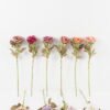 Artificial Flower 14*14*53cm Rose single stem GS-68023001 Single Flowers YeahFlower is one of Chinese leading OEM manufacturers and exporters , supplying the silk flowers, wholesale artificial trees