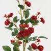 Artificial Flower 15*15*72cm Rose single stem GS-72523001-R1 Single Flowers YeahFlower is one of Chinese leading OEM manufacturers and exporters , supplying the silk flowers, wholesale artificial trees