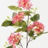 Artificial Flower 20*20*75cm Syzygium aromaticum single stem GS-72323006-R1 Single Flowers YeahFlower is one of Chinese leading OEM manufacturers and exporters , supplying the silk flowers, wholesale artificial trees