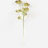 Artificial Flower 20*20*75cm Teazle fruit single stem GS-65223014 Single Flowers YeahFlower is one of Chinese leading OEM manufacturers and exporters , supplying the silk flowers, wholesale artificial trees