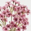 Artificial Flower 16*16*43cm Vernicia fordii *3 bundle GS-72523010-P2 Bouquet YeahFlower is one of Chinese leading OEM manufacturers and exporters , supplying the silk flowers, wholesale artificial trees
