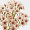 Artificial Flower 16*16*43cm Vernicia fordii *3 bundle GS-72523010 Bouquet YeahFlower is one of Chinese leading OEM manufacturers and exporters , supplying the silk flowers, wholesale artificial trees