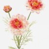 Artificial Flower 14*14*60cm Zinnia elegans Jacq *3 single stem GS-12823006-P1 Single Flowers YeahFlower is one of Chinese leading OEM manufacturers and exporters , supplying the silk flowers, wholesale artificial trees