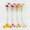 Artificial Flower 14*14*60cm Zinnia elegans Jacq *3 single stem GS-12823006 Single Flowers YeahFlower is one of Chinese leading OEM manufacturers and exporters , supplying the silk flowers, wholesale artificial trees