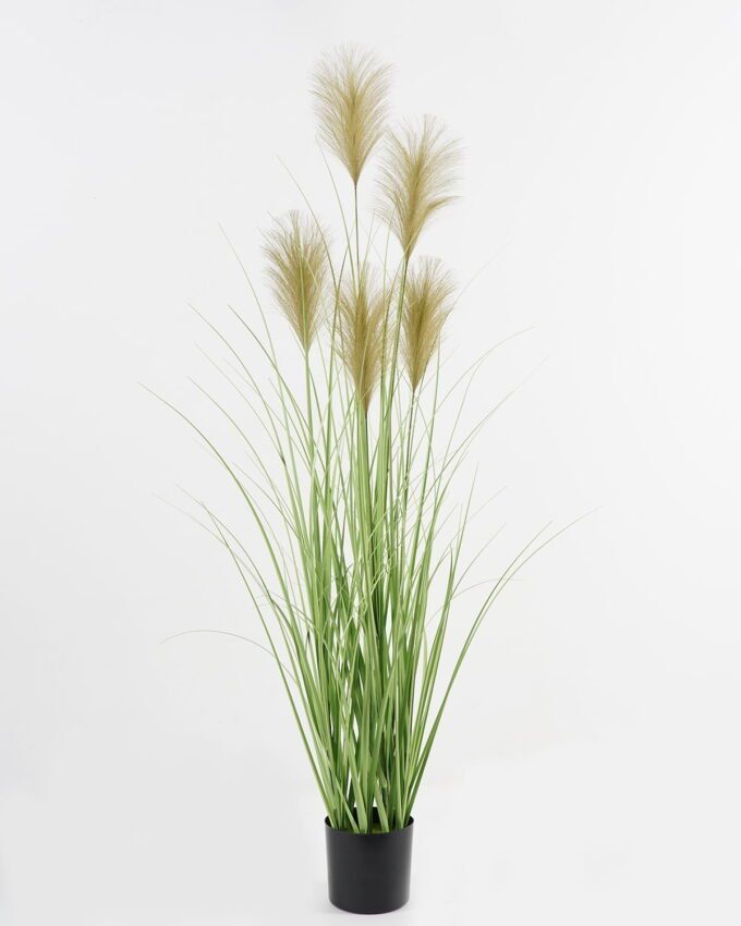 Artificial Grass 118cm Grass 5 in PP pot GS-61923045KIK_3 Artificial Grass 118cm Grass *5 in PP pot GS-61923045KIK Grass&PLANT YeahFlower is one of Chinese leading OEM manufacturers and exporters , supplying the silk flowers, wholesale artificial trees