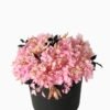 Artificial Grass 20*20cm Dried natural items bouquet in paper box GS-56623003 Dried Flowers YeahFlower is one of Chinese leading OEM manufacturers and exporters , supplying the silk flowers, wholesale artificial trees