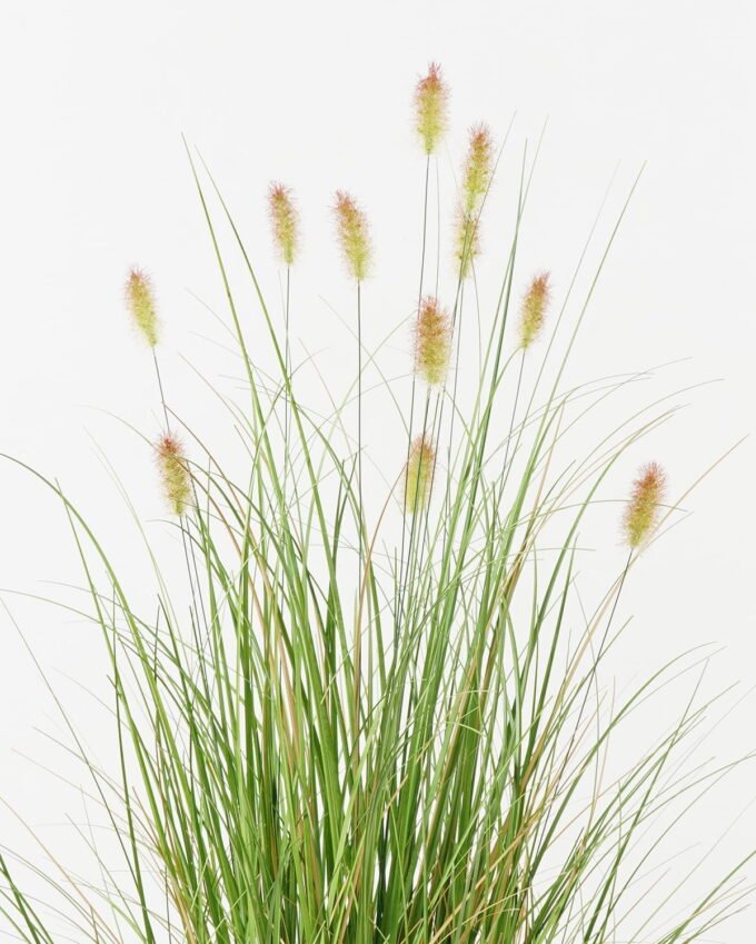 Artificial Grass Grass 11 in PP pot GS-61923050_2 Artificial Grass 65*65*85cm Grass *11 in PP pot GS-61923050 Grass&PLANT YeahFlower is one of Chinese leading OEM manufacturers and exporters , supplying the silk flowers, wholesale artificial trees