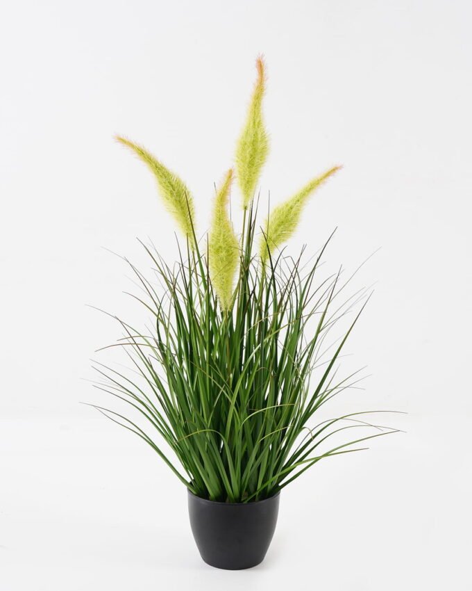 Artificial Grass Grass 4 in PP pot GS-45723009_4 Artificial Grass 38*38*57cm Grass *4 in PP pot GS-45723009 Grass&PLANT YeahFlower is one of Chinese leading OEM manufacturers and exporters , supplying the silk flowers, wholesale artificial trees