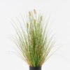 Artificial Grass Grass 6 in PP pot GS-61923048_4 Artificial Grass 50*50*58cm Grass *6 in PP pot GS-61923048 Grass&PLANT YeahFlower is one of Chinese leading OEM manufacturers and exporters , supplying the silk flowers, wholesale artificial trees