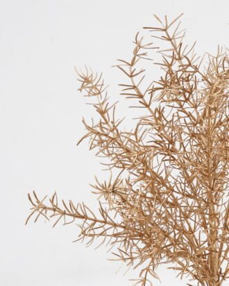 Artificial Plant 25*25*45cm Asparagus bush GS-51623010-J1 Leaves&Sprays&Foliages YeahFlower is one of Chinese leading OEM manufacturers and exporters , supplying the silk flowers, wholesale artificial trees Artificial Plant 25*25*45cm Asparagus bush GS-51623010-J1 Leaves&Sprays&Foliages YeahFlower is one of Chinese leading OEM manufacturers and exporters , supplying the silk flowers, wholesale artificial trees