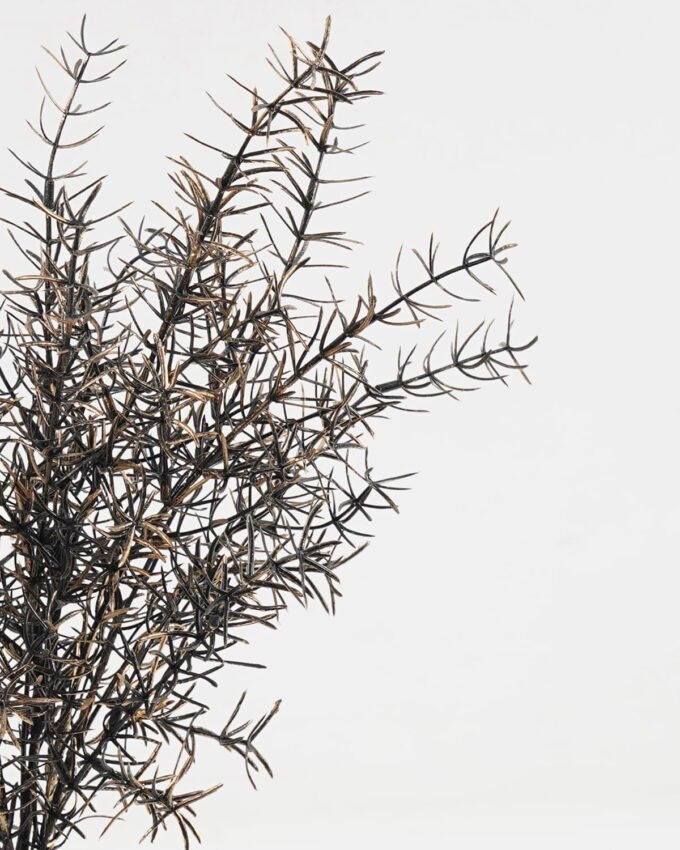 Artificial Plant 25*25*45cm Asparagus bush GS-51623010-J2 Leaves&Sprays&Foliages YeahFlower is one of Chinese leading OEM manufacturers and exporters , supplying the silk flowers, wholesale artificial trees