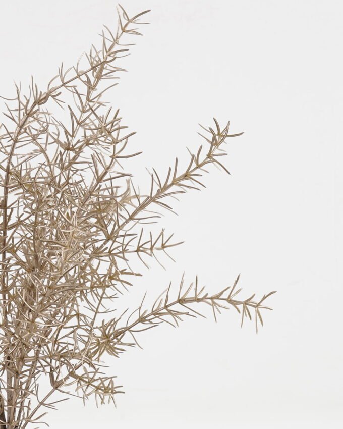 Artificial Plant 25*25*45cm Asparagus bush GS-51623010-J3 Leaves&Sprays&Foliages YeahFlower is one of Chinese leading OEM manufacturers and exporters , supplying the silk flowers, wholesale artificial trees